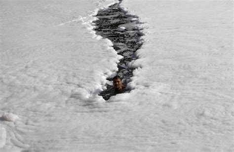 India's Revered Yamuna River Is Also The Most Polluted In The Country ...