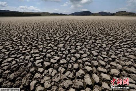 蝗灾：气候变化加剧全球粮食危机的警钟 – 绿色和平