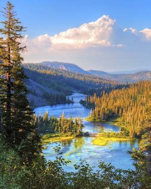 The Bradley Funeral Home Luray, Virginia (VA) | Who Passed On