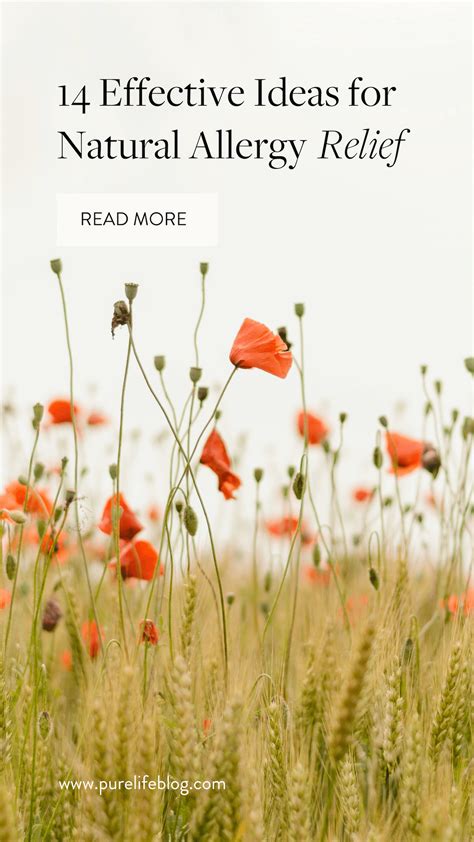 14 Effective Ideas for Natural Allergy Relief | Primally Pure Skincare