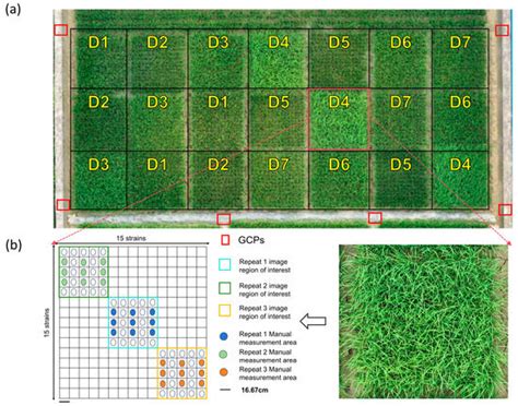 Developing an Uncrewed Aerial Vehicle (UAV)-Based Prediction Model for ...