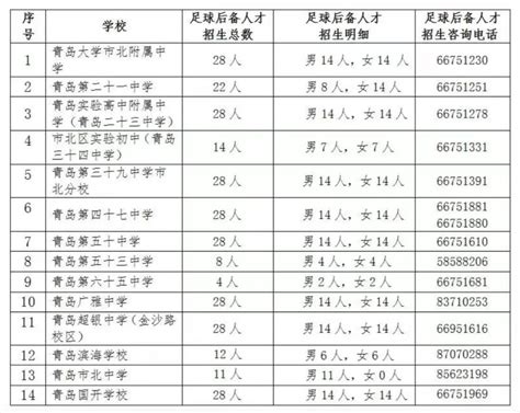 青岛私立高中学校排名榜（青岛私立高中学校排名）_51房产网