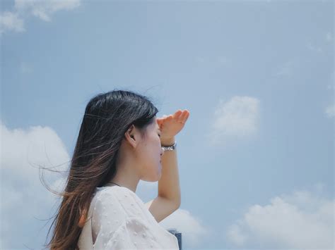 Image result for Search Query Tool