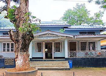 3 Best Veterinary Hospitals in Guwahati, AS - Expert Recommendations