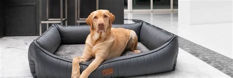 Orthopaedic Dog Beds | Petlando - Petlando