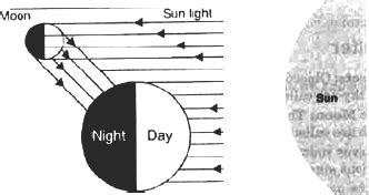 CBSE 8 Science CBSE- Stars and the Solar System, Free Test Papers ...