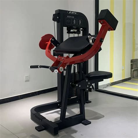 Image result for Bicep Curl Machine Exercise