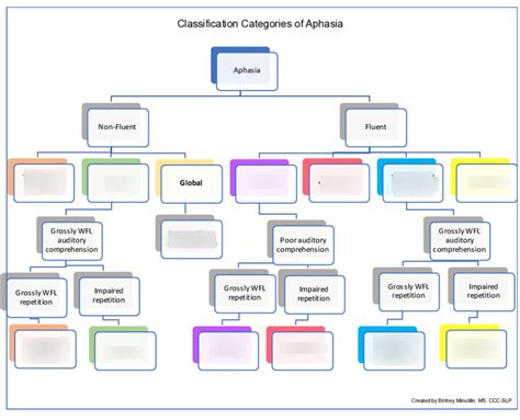 Image result for Aphasia Classification Chart