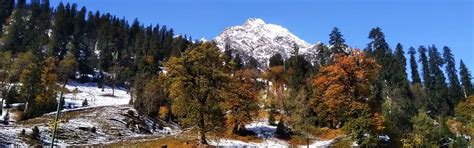 Jibhi and Manali Tour Package from Delhi for a weekend Thrill