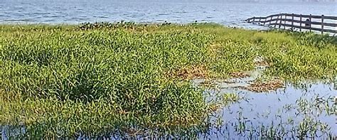 Mendonca Tourism: All You Need to Know Before You Go (2025)