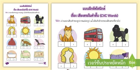 คำศัพท์ CVC Words คืออะไรและมีความสำคัญอย่างไร