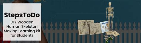 Buy StepsToDo DIY Wooden Human Skeleton Making Learning kit for ...