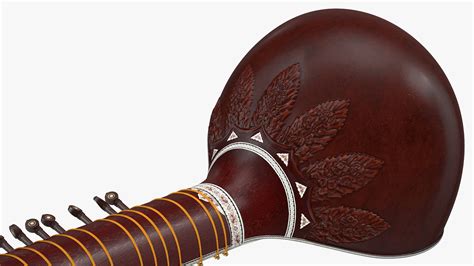 Stringed Instruments 的图像结果