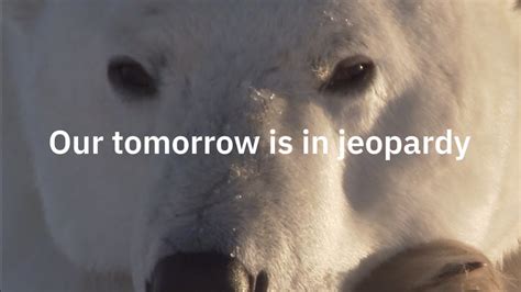 Image result for IBM Code Challenge