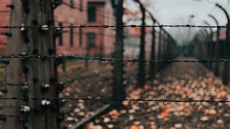 Download wallpaper 3840x2160 fence, barbed wire, wire, spikes 4k uhd 16 ...