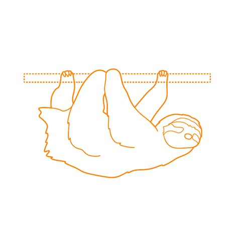 Image result for How to Draw a Two Toed Sloth