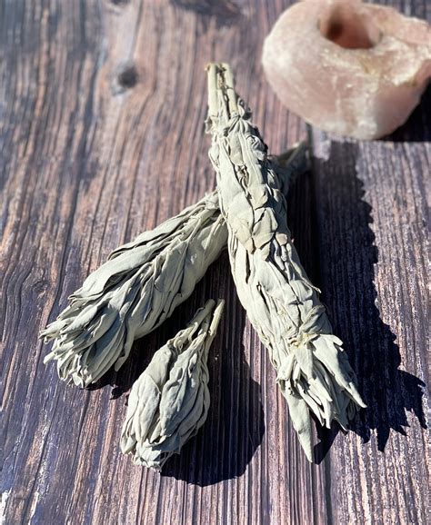 White Sage Smudge Stick ~ Wild Me
