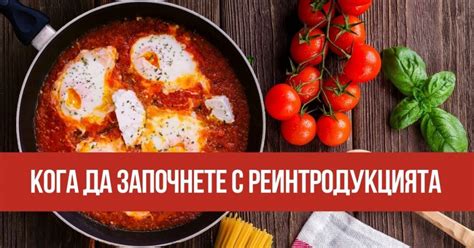За АИП реинтродукцията без страх - Light side of the food