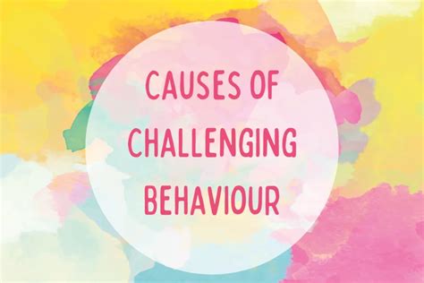 Image result for Challenging Behaviour Causes