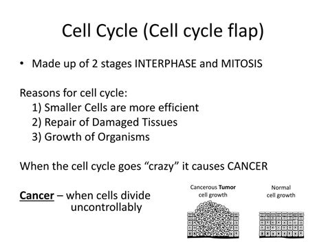 Image result for Cell Over Replication