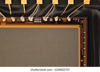 Camera Sensor Under Microscope 的图像结果