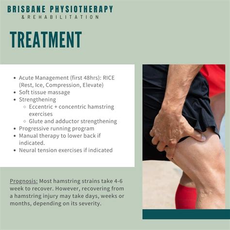 Pulled Hamstring 的图像结果