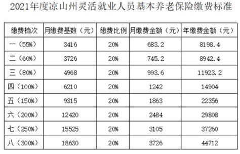 石家庄日报:2023年成都灵活就业缴费档次——2023年灵活就业缴费档次是怎样的呢？_成都社保网