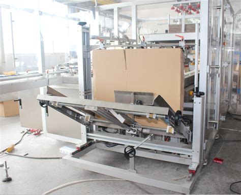 Image result for Case Packing Machine