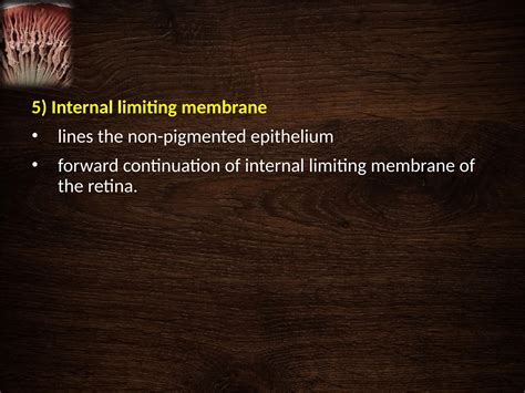Anatomy and physiology of Uvea- Dr. Moks.pptx