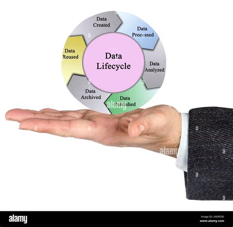 Data Life Cycle 的图像结果