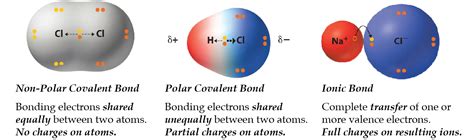 Polar Covalent Compounds Examples 的图像结果