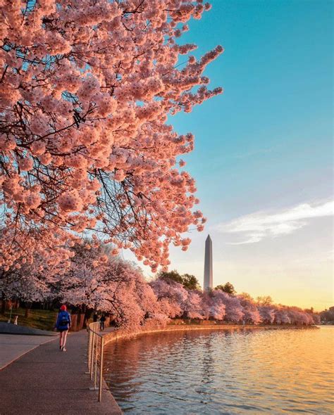 Washington DC, Washington, D.C., March 29 to March 31 | AllEvents.in