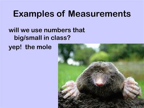 Image result for Examples in Measurement