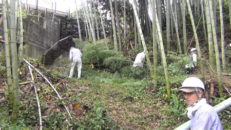 水守森支援隊＋: 「竹林に苦戦」した山で竹の除伐を完了しました。