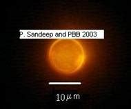 Home Page of Bisht PB