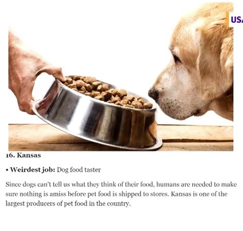 dog food tester