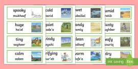 What is Phonetic Writing? A Twinkl wiki-page. - Twinkl