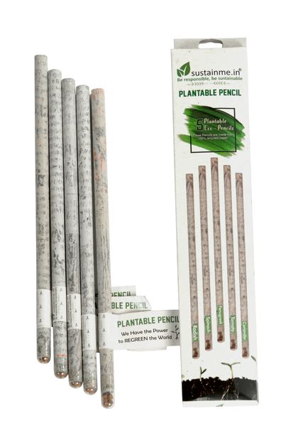 Recycled Paper Plantable Pencil 5 Pack – sustainme.in