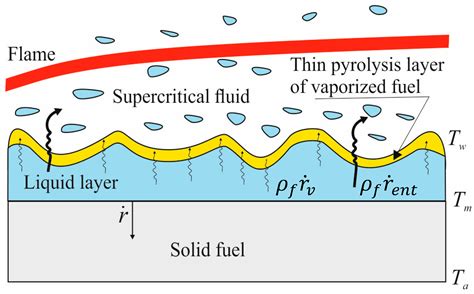 The Application of Computational Thermo-Fluid-Dynamics to the ...