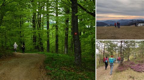 Suvobor i Rajac - kroz srce Suvobora stazama kojima se ređe ide ...