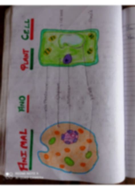 Cell Structure Class 8 的图像结果