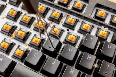 Image result for Computer Mouse Keyboard CPU Clear