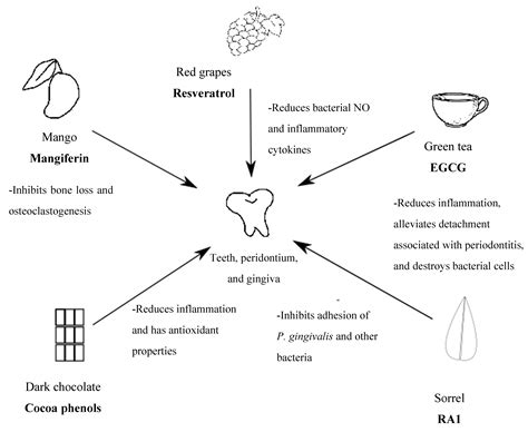 Dietary Polyphenols and Periodontitis—A Mini-Review of Literature