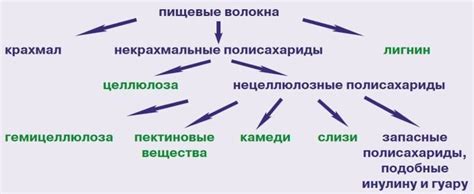 Пищевые волокна как пребиотики