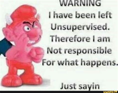 Image result for Unsupervised Meme