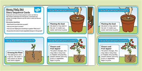 Grow, Pick, Eat Story Sequence Cards (teacher made) - Twinkl