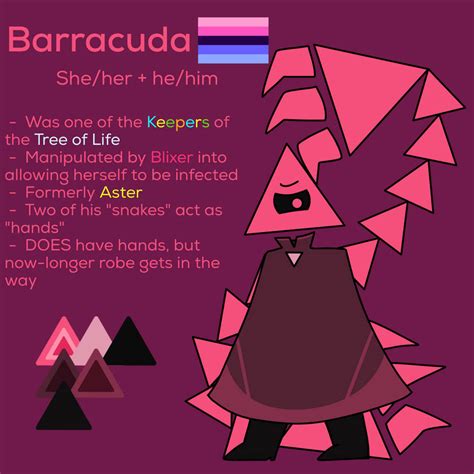 Image result for Barracuda Jsab