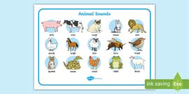 Animal Poster with Sounds | Twinkl Resources