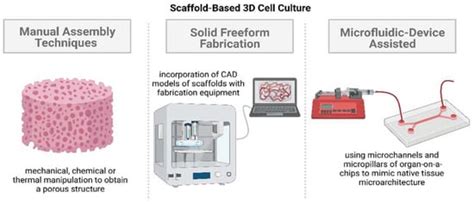 Vascularization Strategies in 3D Cell Culture Models: From Scaffold ...
