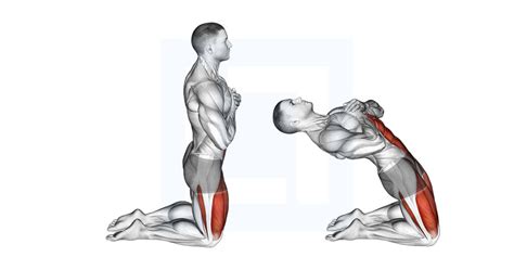 Image result for Contralateral Step-Up